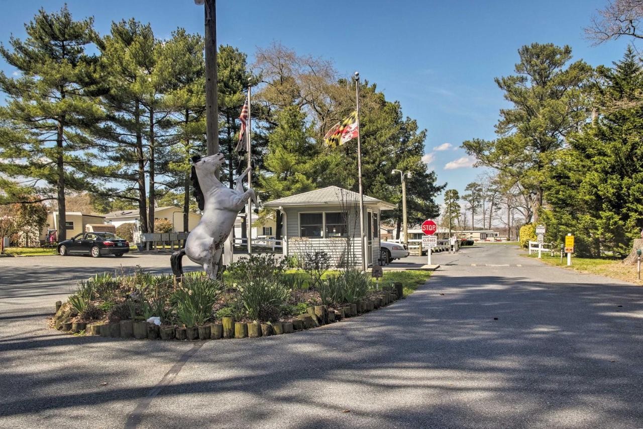 Dog-Friendly Ocean Pines Home With Pool Access! Berlin Exterior foto